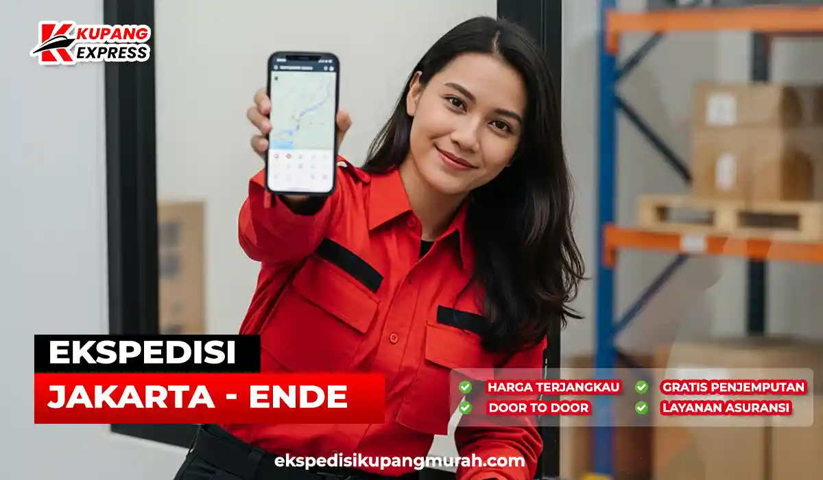 Kirim Barang Ke Ende? Ini Solusi Ekspedisi Dari Jakarta Ke Ende