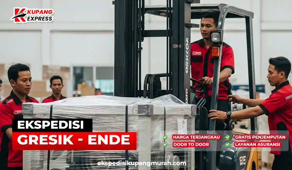Ekspedisi Cargo Termurah Dari Gresik Ke Ende Via Kapal Cepat