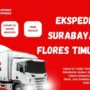 Ekspedisi Surabaya Flores Timur 90x90